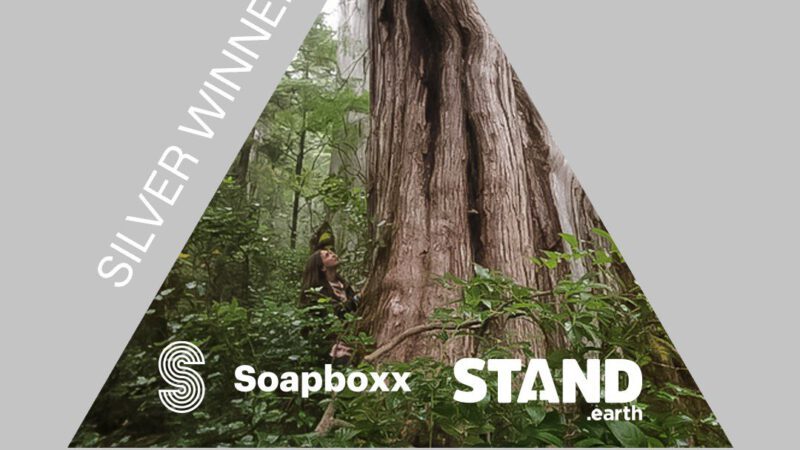 soapboxx-stand-silver